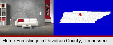 home furnishings - 3d rendering; Davidson County highlighted in red on a map